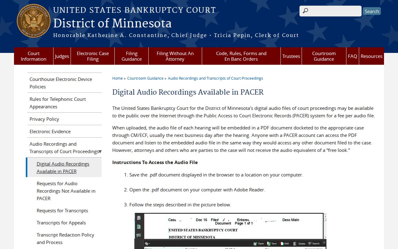 Holland court docket federal bankruptcy court record-system context